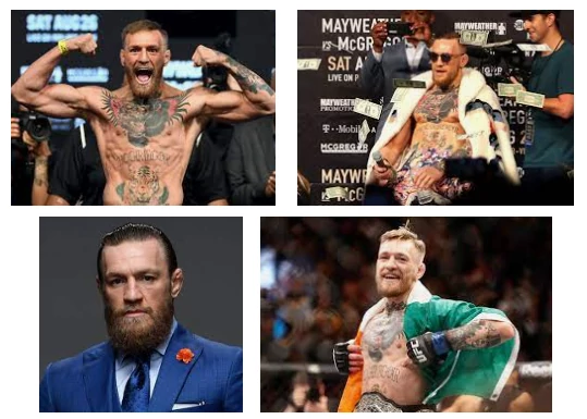 wie viel verdient conor mcgregor