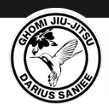 jiu-jitsu frankfurt