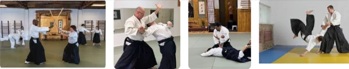 was bedeutet aikido