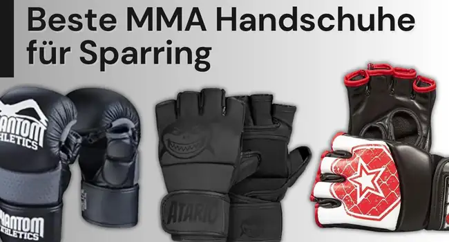 Welche MMA Handschuhe für Sparring