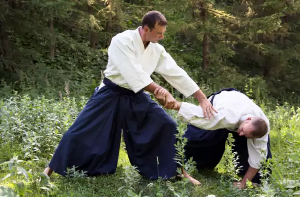 aikido fur strassenkampf