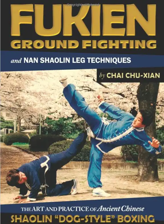 shaolin kung fu bodenkampf