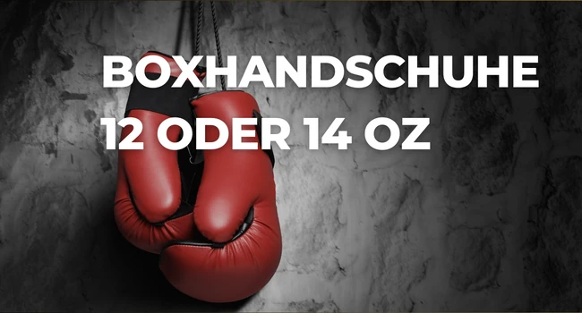 Boxhandschuhe 12 oder 14 oz