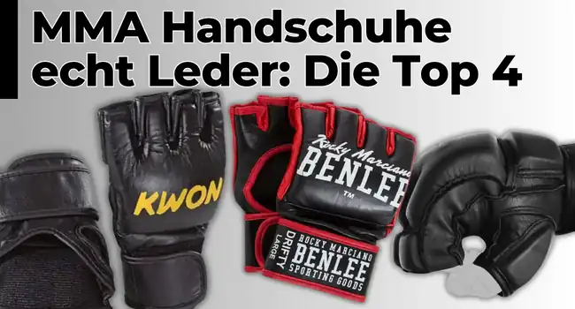 MMA Handschuhe echt Leder