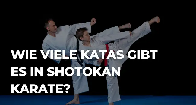 Wie viele Katas gibt es in Shotokan Karate?