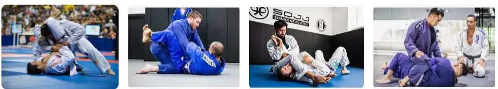 bjj trainieren