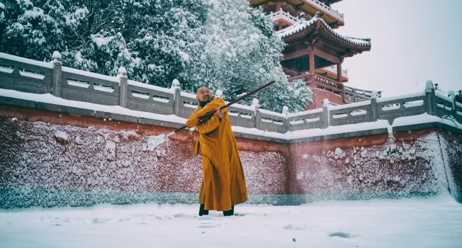 shaolin kung fu