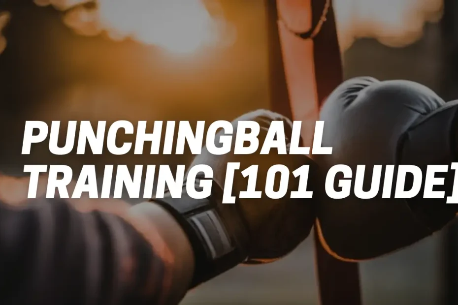 Punchingball Training