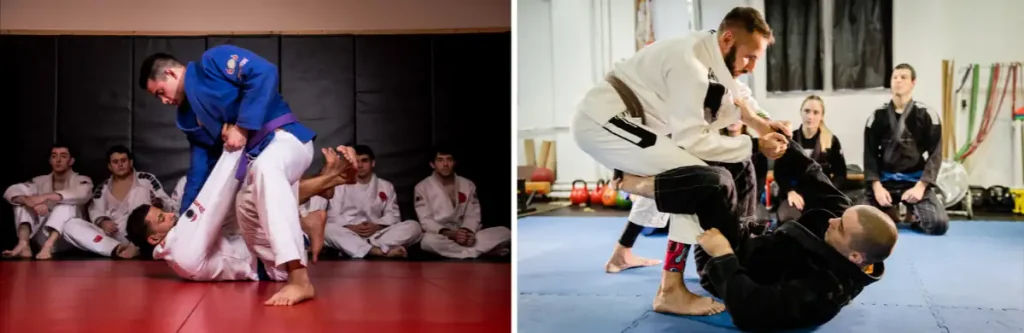 bjj erlernen