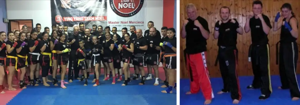 kickboxen gurtel