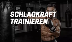 schlagkraft trainieren