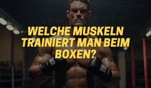 welche muskeln trainiert man beim boxen