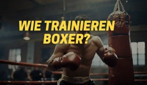 wie trainieren boxer